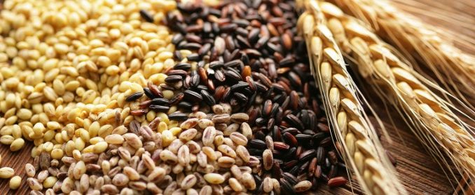 Céréales complètes