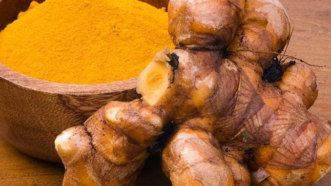 curcuma